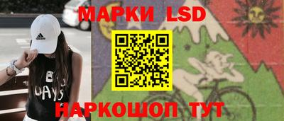 mdpv Кимры