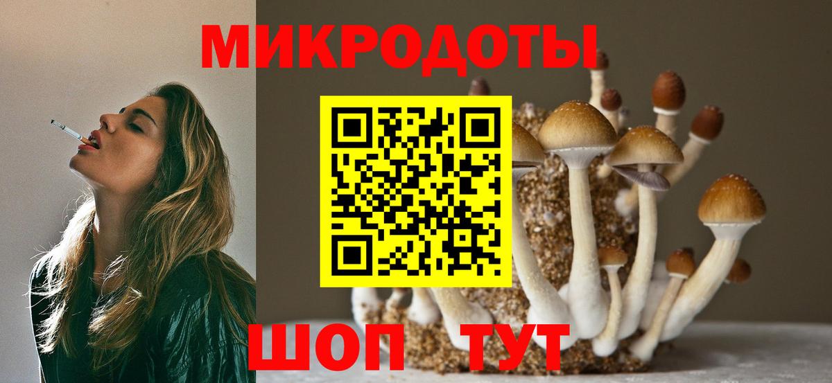 Краснознаменск  купить наркоту  Вход с VPN  Псилоцибиновые грибы Cubensis 